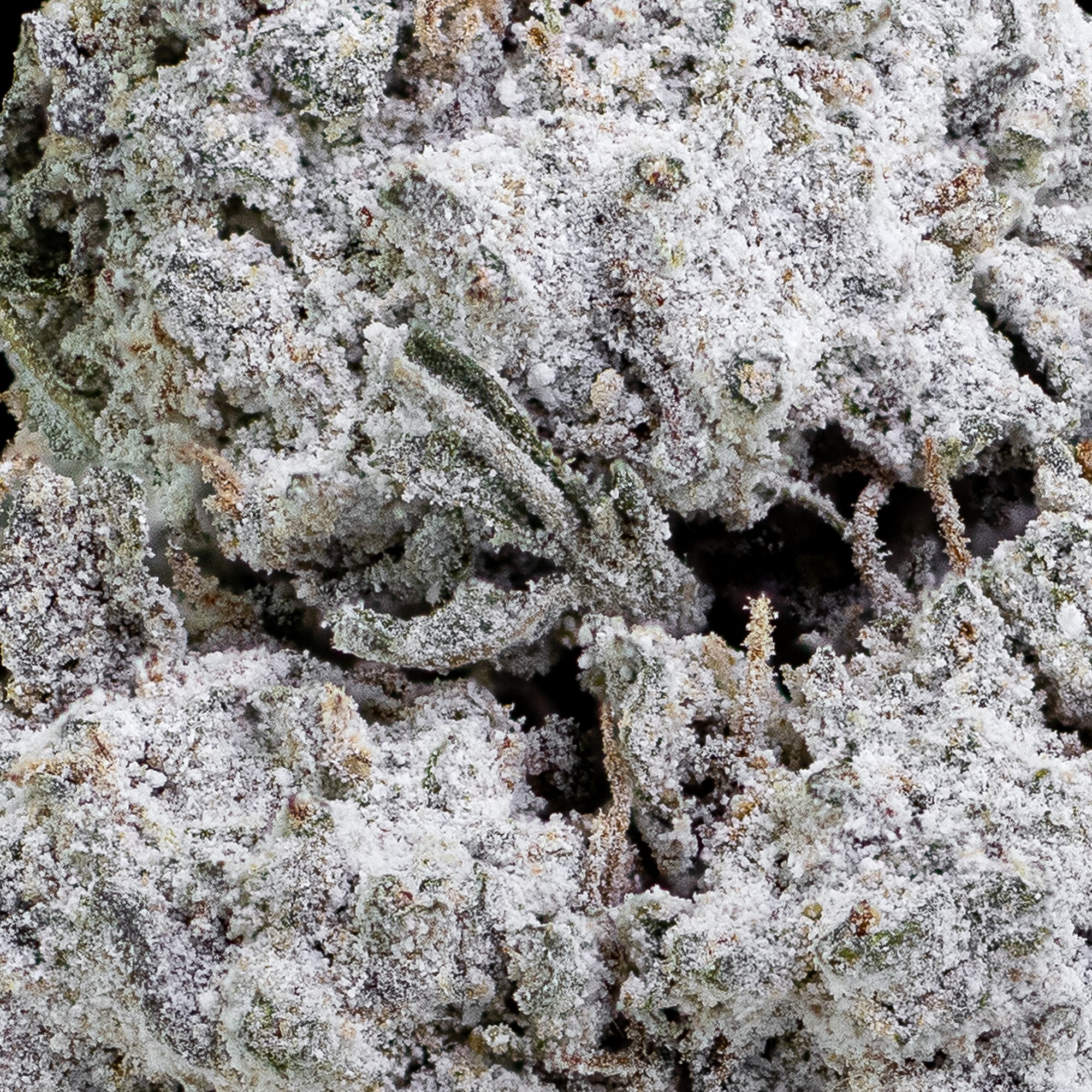 Cali Weed