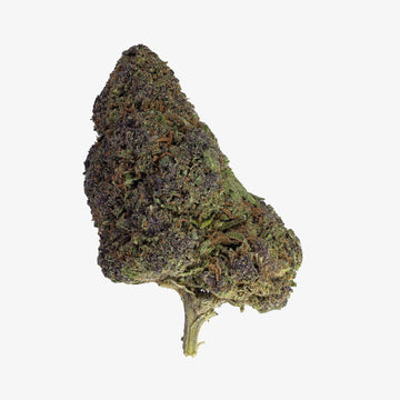 Chronic Haze - 14% CBD