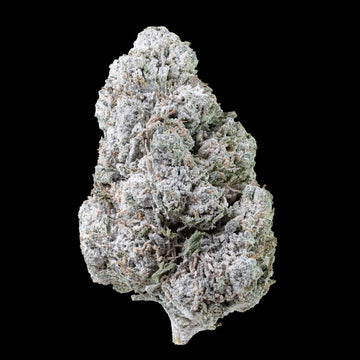 Gorilla Glue - 23% THCA