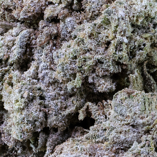 Magic Blaze - 23% THCA