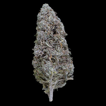 N*1 Sativa - 18% THCA
